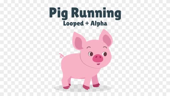 Cartoon Animated Pig running