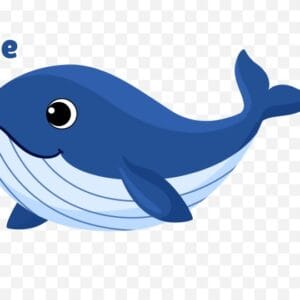 Animated Whale