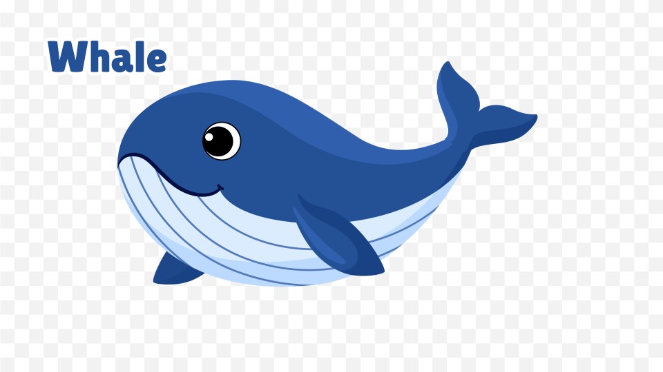 Animated Whale