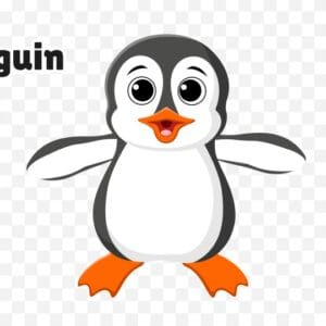 Animated Penguin