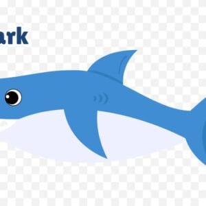 Animated Shark